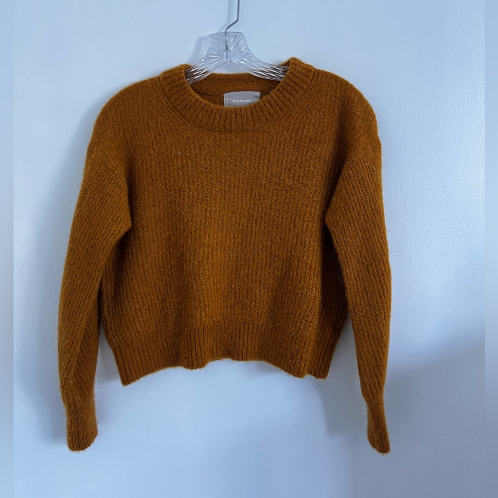 Mustard Everlane Cropped Sweater